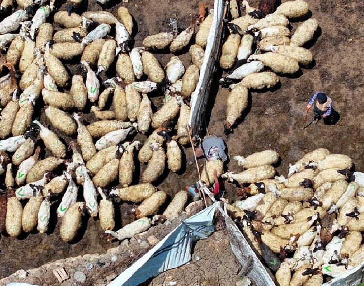 Tarımda Dijital Dönüşümle Gençler Çiftçiliğe Teşvik Edilecek!